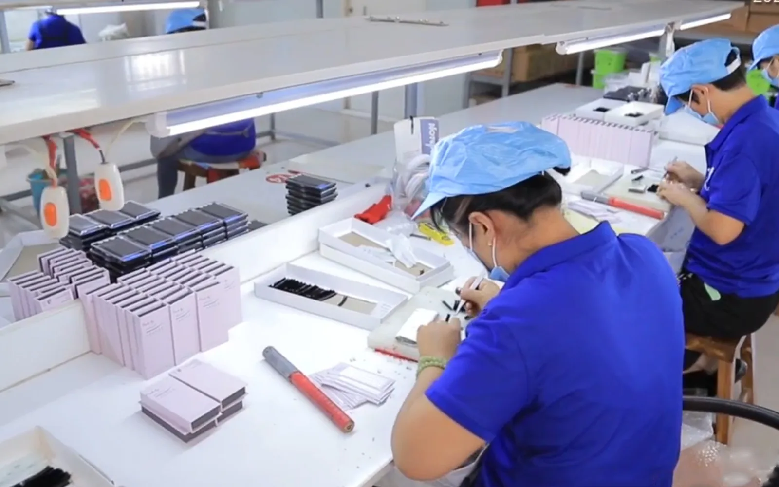 Línea de producción LashPlus